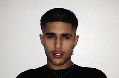 More Info for fakemink